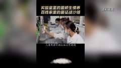 人机协同不只为内容创做供给了新动